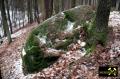 Findling 4 bei Haselberg nahe Wierzen in der Märkischen Schweiz, Brandenburg, (D) (6) 24. Januar 2016.JPG